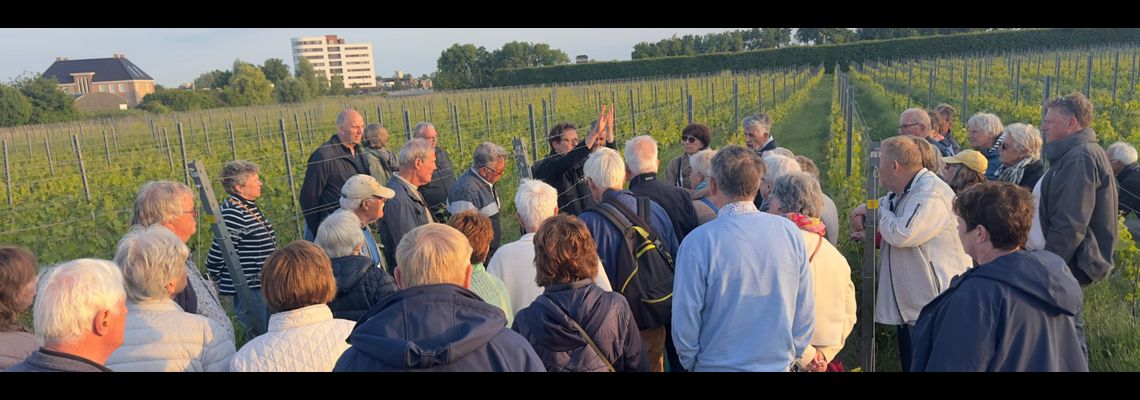 Afbeelding_van_WhatsApp_op_2025-05-26_1140x400_q80 1.jpg